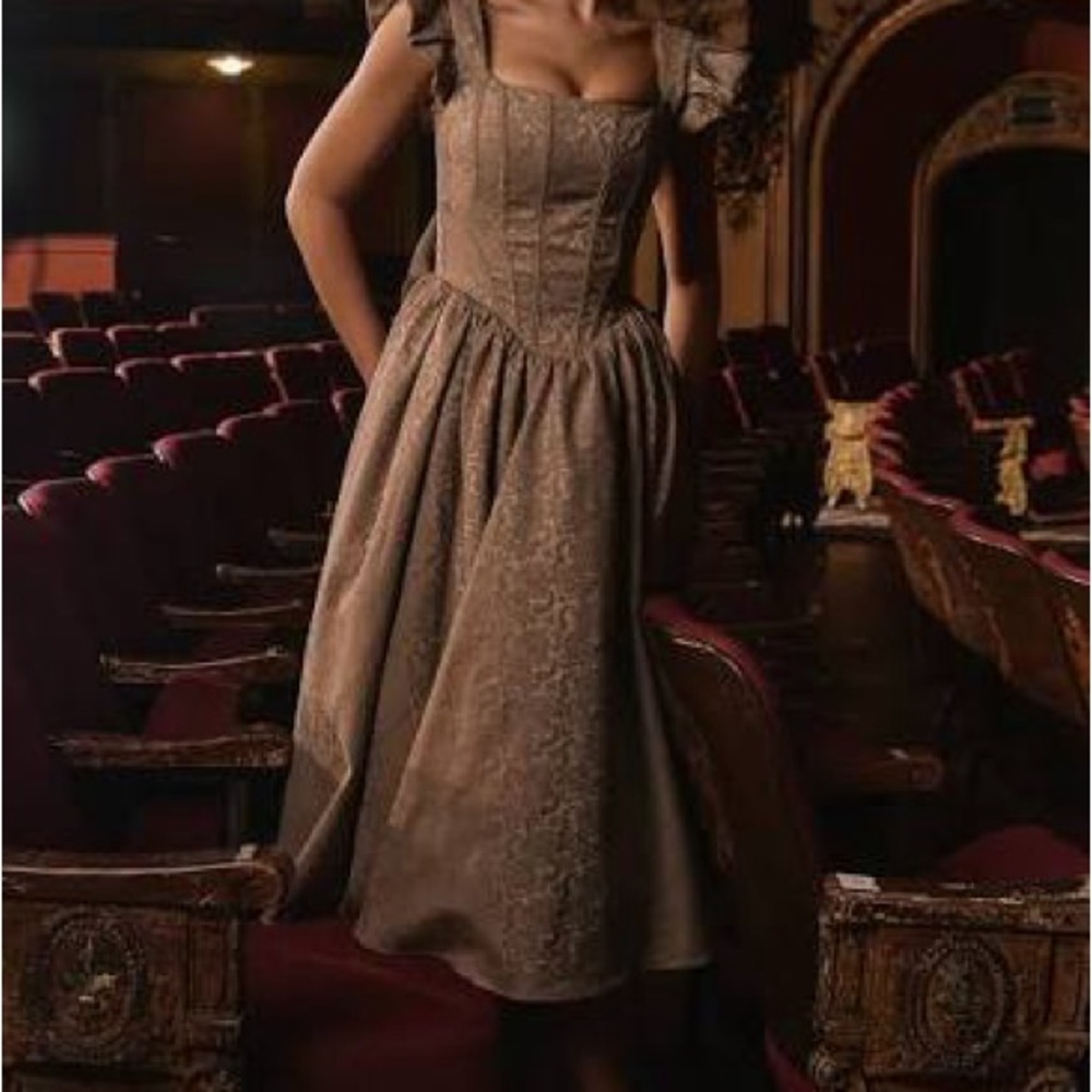 House of CB Brown Midi Dress Ruffle Sleeves xs Alessandra corset jacquard gold - Picture 3 of 12